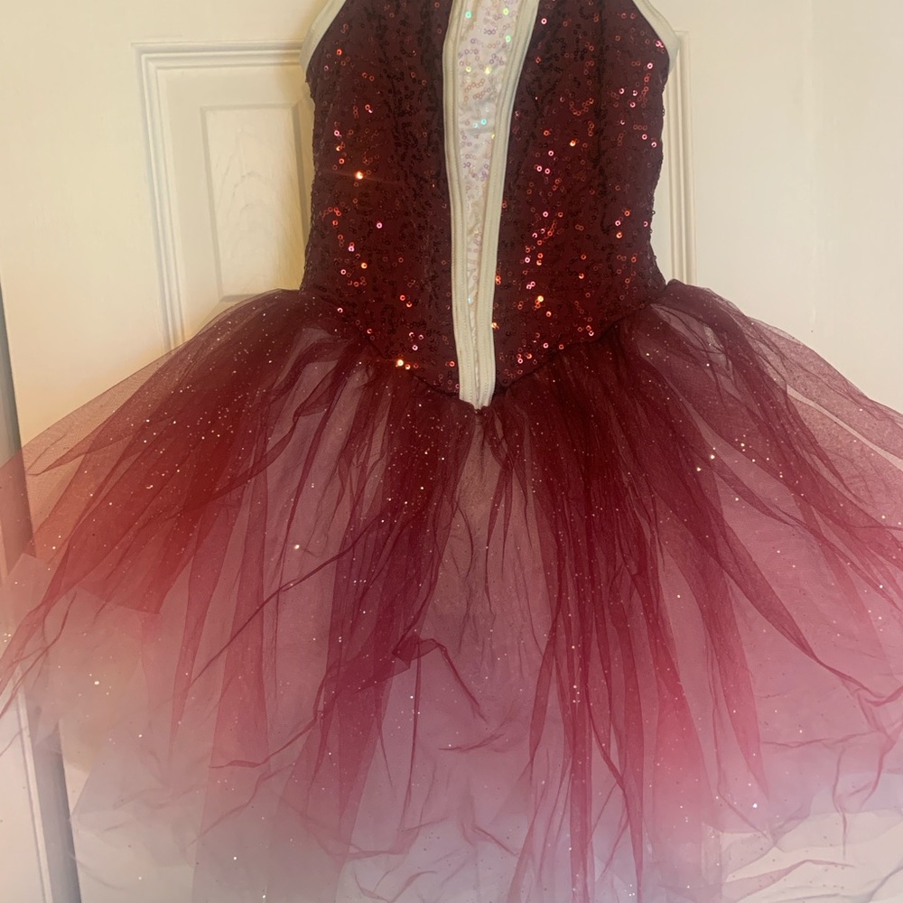Sparkling Burgundy Kids Costume